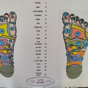 מפה רפלקסולוגית גדולה